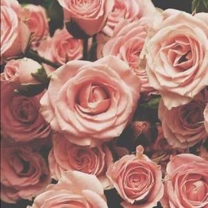 Meet your Posher, Fah pailin